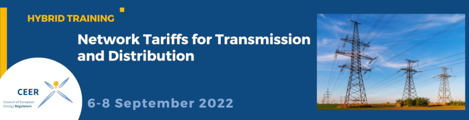 Hybrid Training: Network Tariffs for Transmission and Distribution; 6-8 September 2022