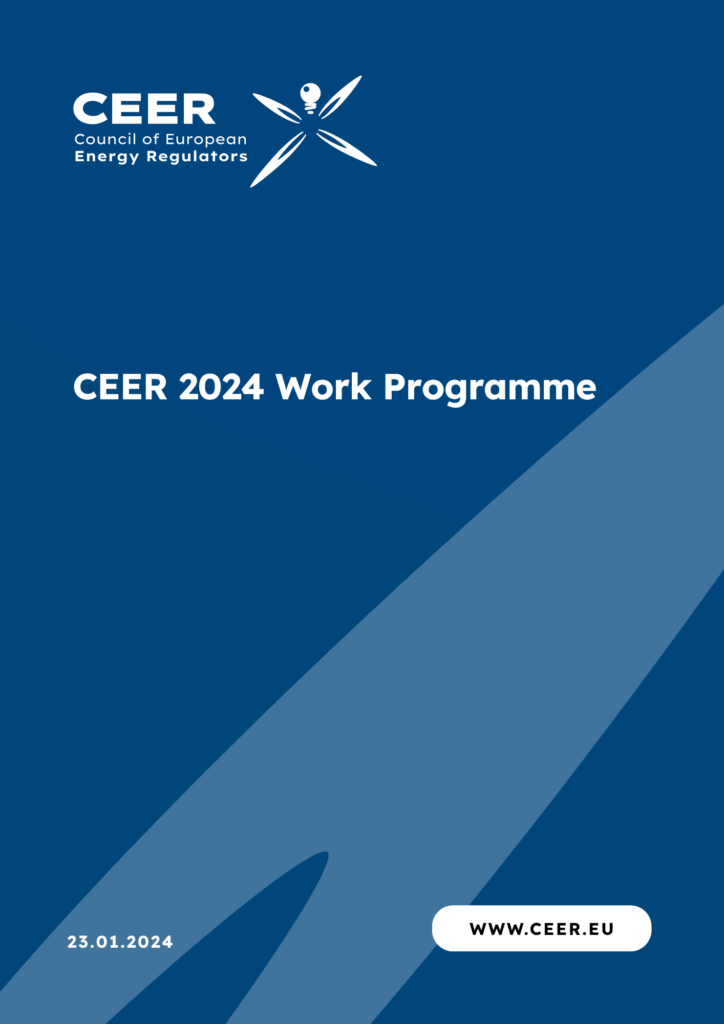 CEER Work Programme 2024