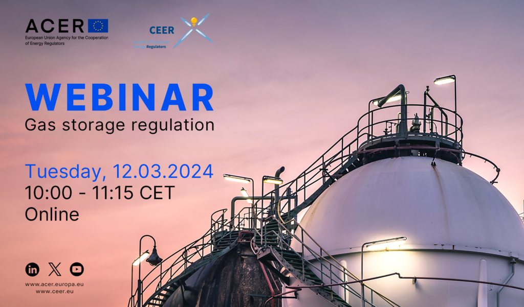 ACER-CEER Webinar on Gas Storage Regulation