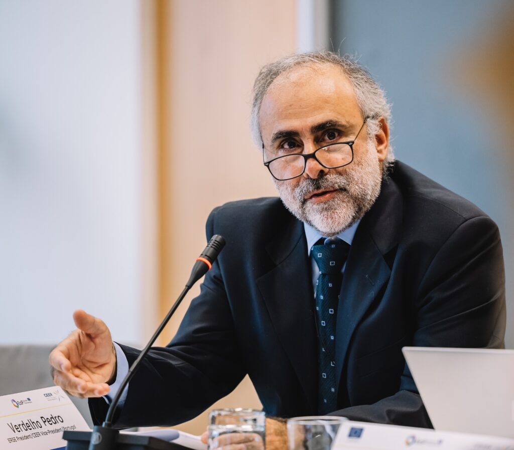 Pedro Verdelho