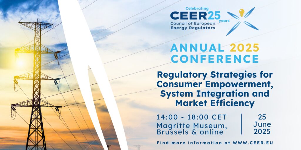 CEER Annual Conference 2025