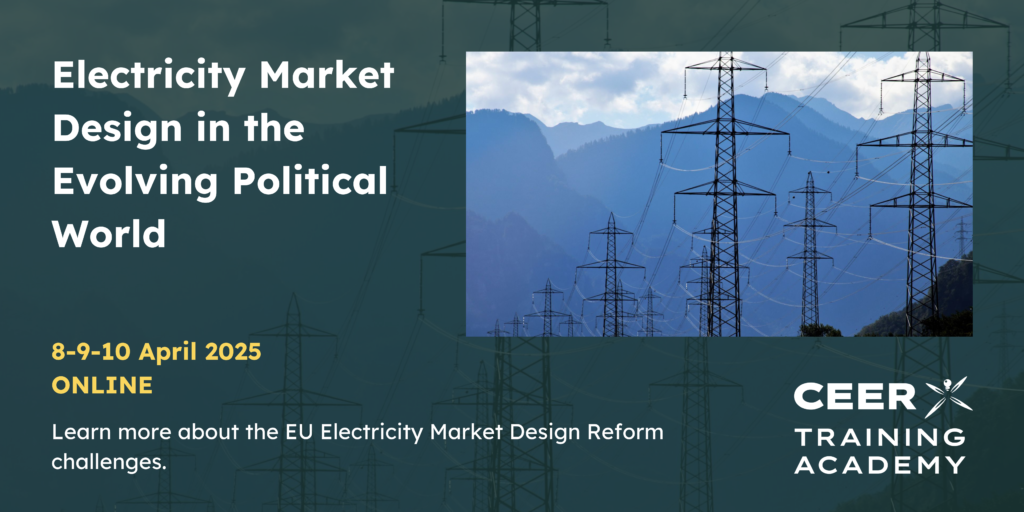 Electricity Market Designs in the Evolving Political World