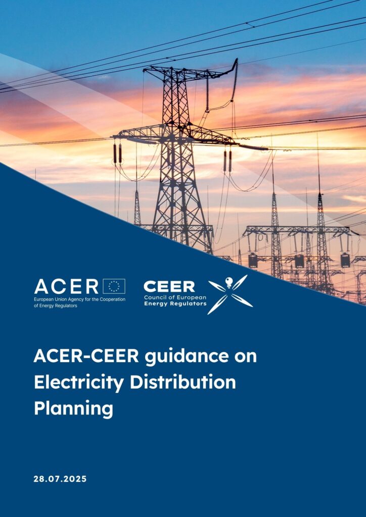 ACER-CEER guidance on Electricity Distribution Planning