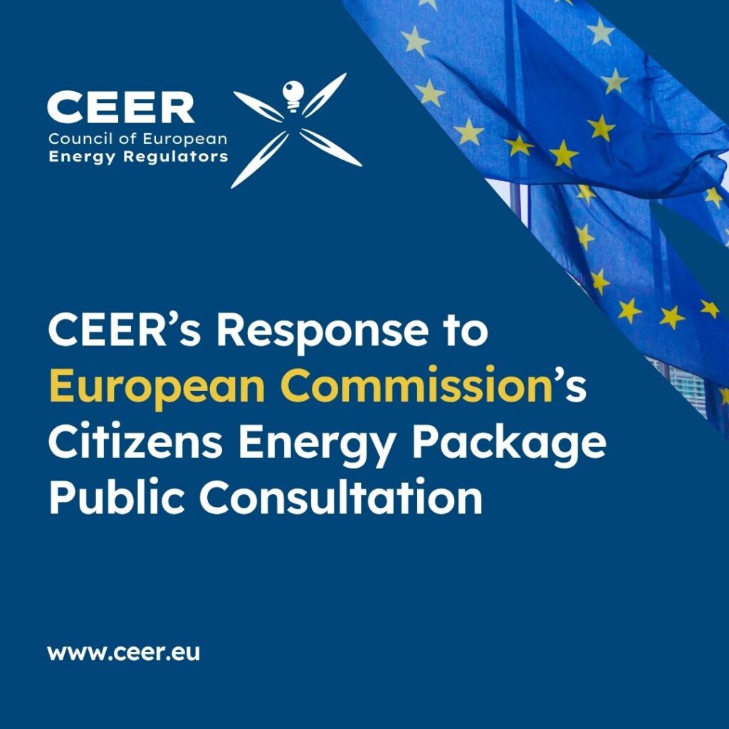 CEER’s Response to the Citizens Energy Package Public Consultation