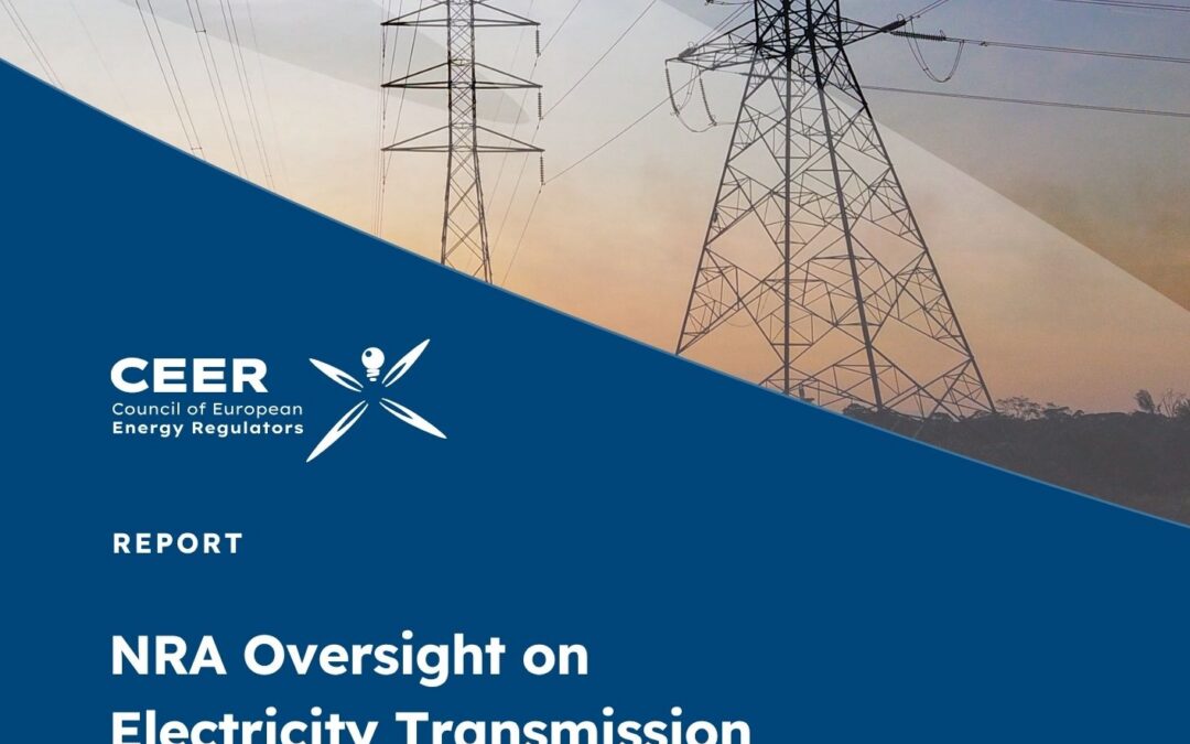 NRA Oversight on Electricity Transmission Grid Development and Investment