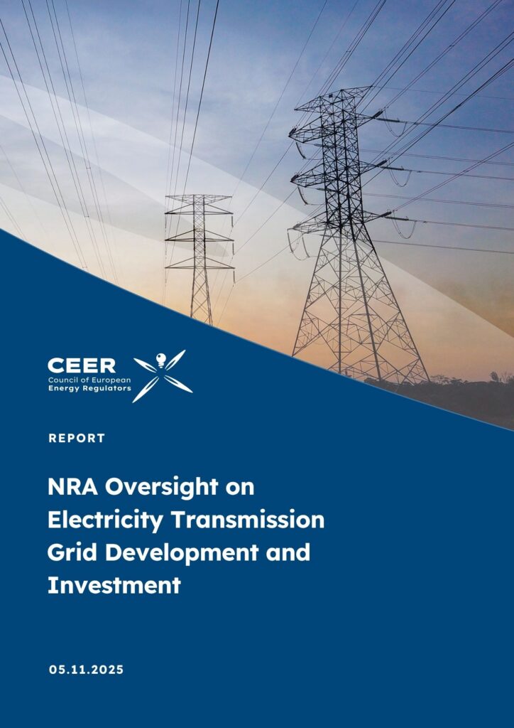 NRA Oversight on Electricity Transmission Grid Development and Investment