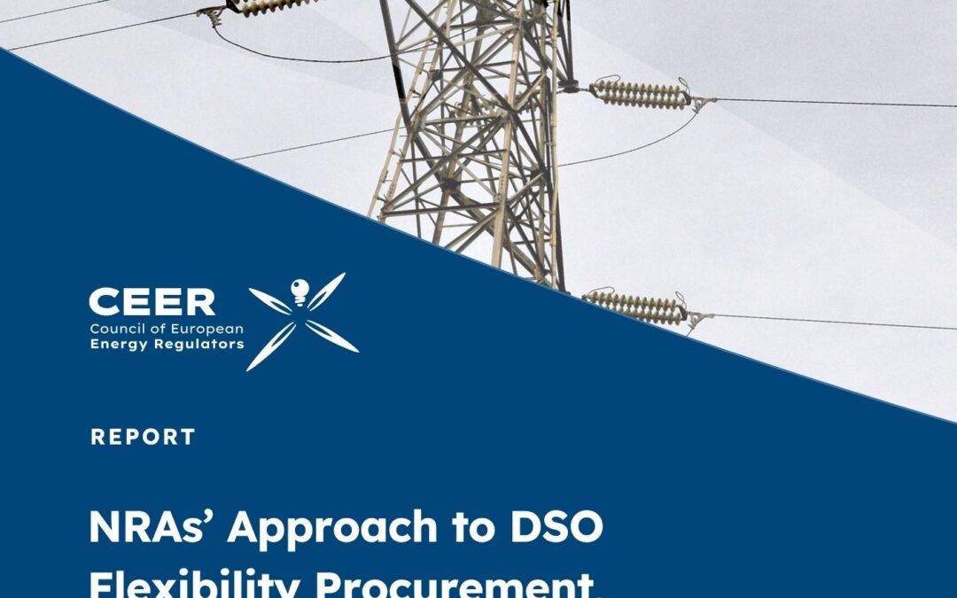NRAs’ Approach to DSO Flexibility Procurement, Justifications for Derogations from Article 32