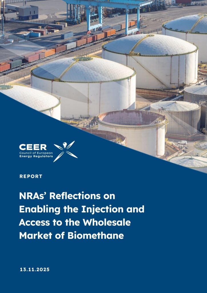 NRAs’ Reflections on Enabling the Injection and Access to the Wholesale Market of Biomethane