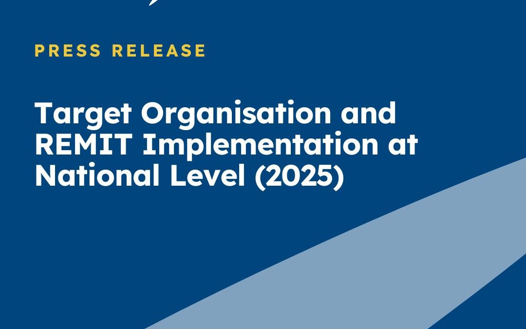 Target Organisation and REMIT Implementation at National Level (2025)