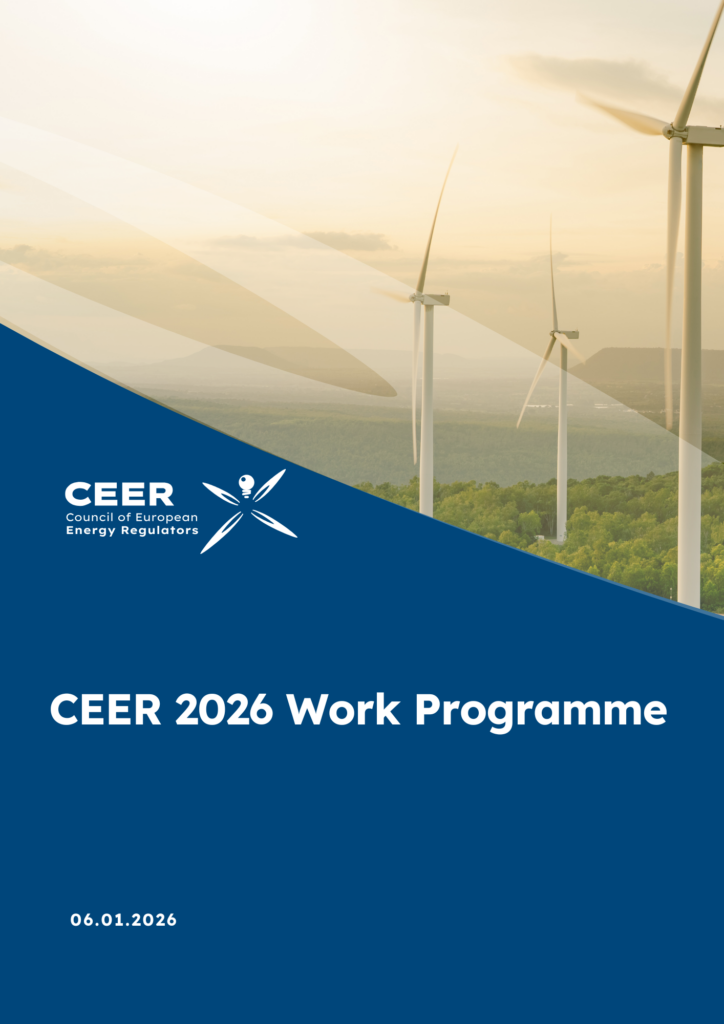 CEER Work Programme 2026