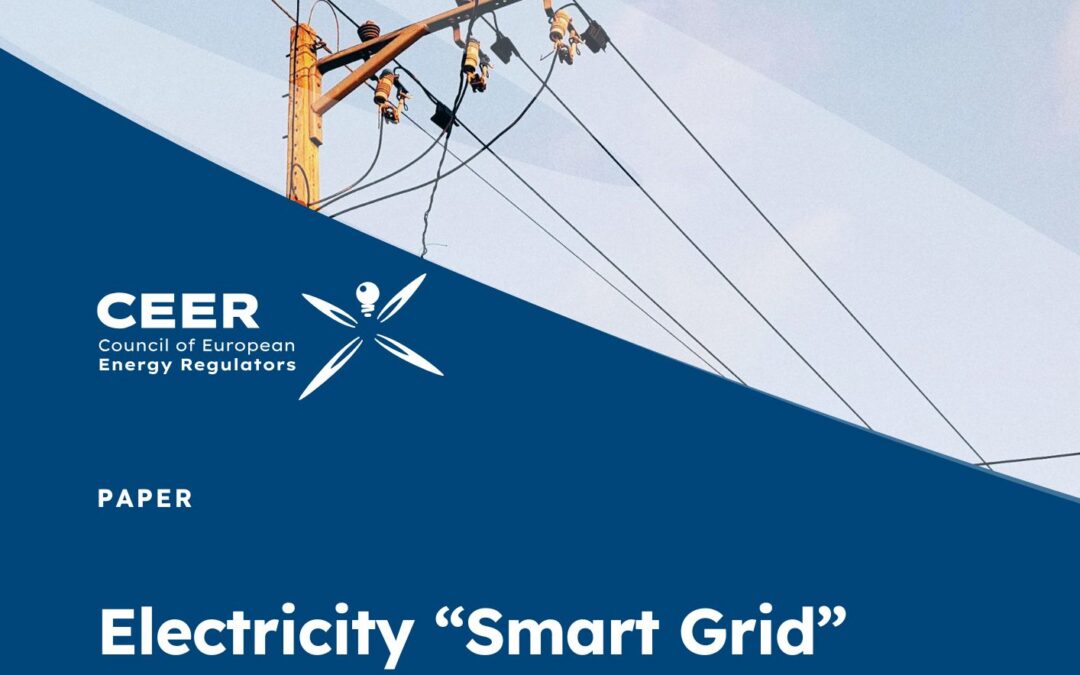 CEER paper on Electricity “Smart Grid” Performance Indicators