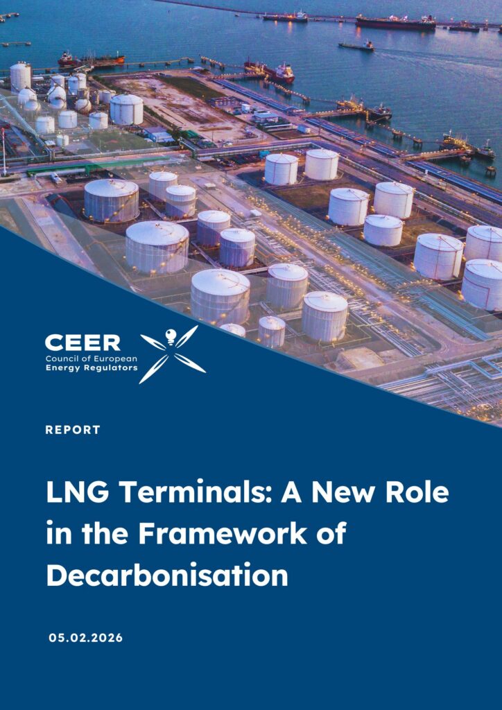 LNG Terminals: A New Role in the  Framework of Decarbonisation