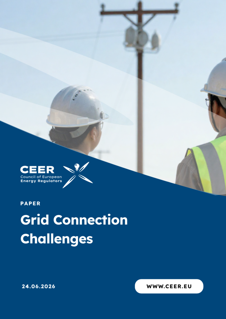 CEER Paper on Grid Connection Challenges