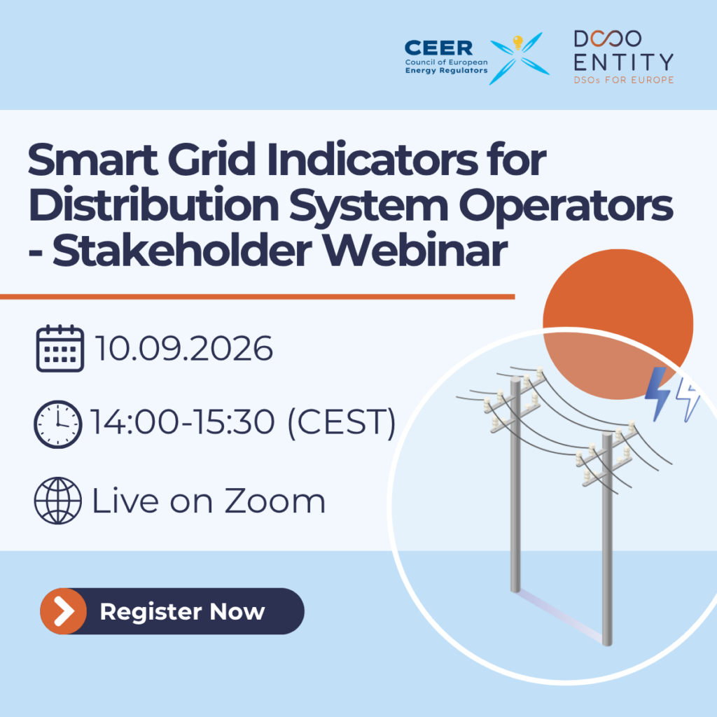 CEER-DSO Entity Webinar: Smart Grid Indicators for Distribution System Operators
