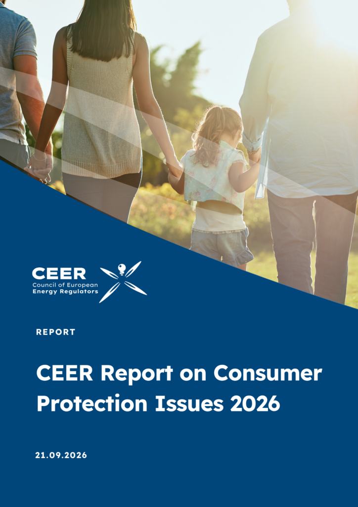 CEER Report on Consumer Protection Issues 2026