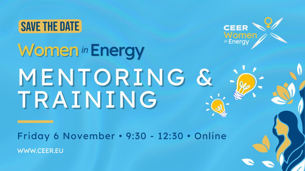 CEER Women in Energy: Mentoring & Training