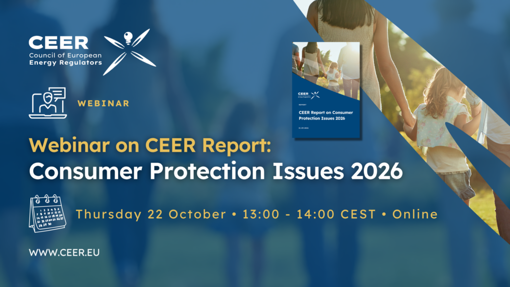 CEER Webinar: Report on Consumer Protection Issues 2026