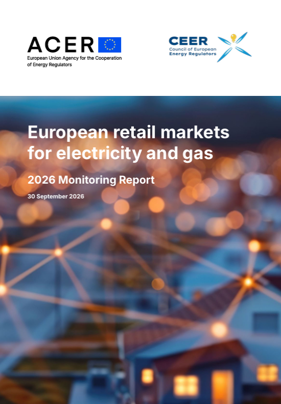 European retail markets for electricity and gas