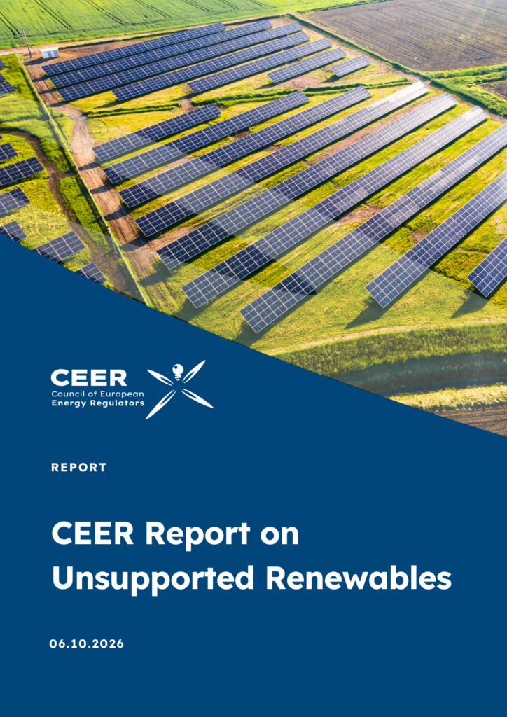 CEER Report on Unsupported Renewables